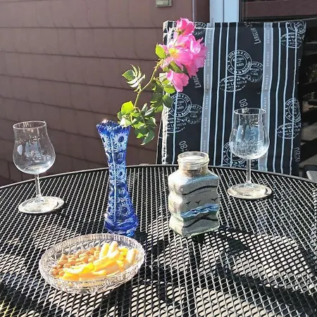 Kranichueberflug * Viehhof