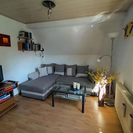 Kranichüberflug Apartment Barth