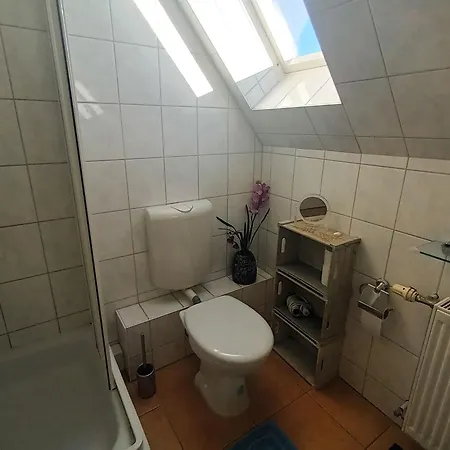 Kranichüberflug Barth